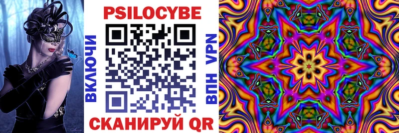 Галлюциногенные грибы Psilocybe  Горно-Алтайск 