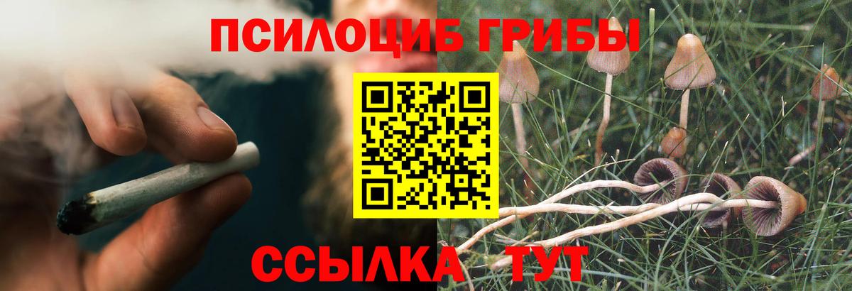 Галлюциногенные грибы ЛСД  Псилоцибиновые грибы Psilocybine cubensis  Горно-Алтайск  Вход с VPN 